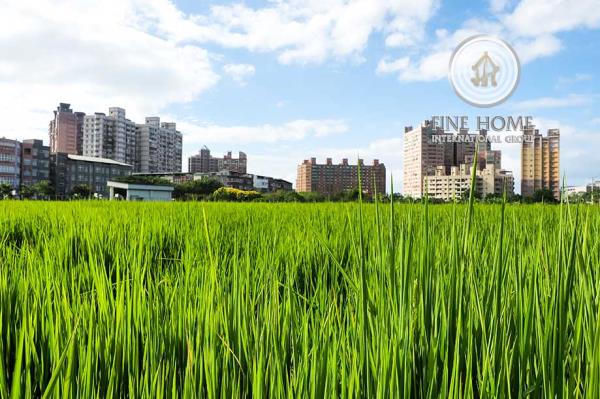 Farm In Al Ajban, Al Ain (Frm_62)
