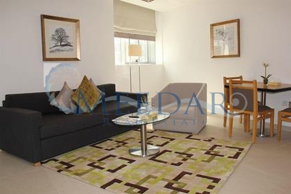 Furnished 1 Br Hotel Apartment In Tecom, Dubai