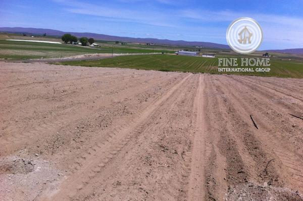 Residential Land In Khalifa City, Abu Dhabi (L_1247)