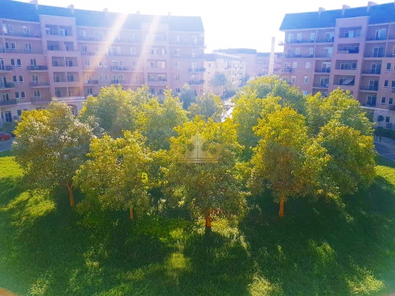 Shakespeare Circus 2 , Motor City, 3br+m