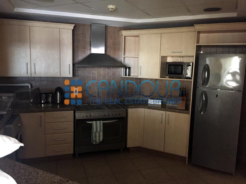 Spacious 3 BR in Palm Shoreline - Fully Furnished - Chiller Charge Included