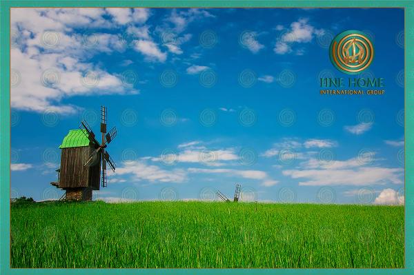 Farm In Al Khatim,al Ain (Frm_51)
