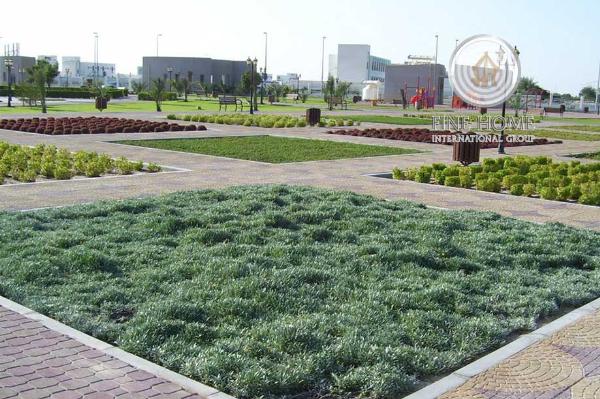Amazing Farm In Al Rahba,abu Dhabi (Frm_79)