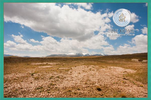 Commercial Land In Mohammed Bin Zay(L_1197)