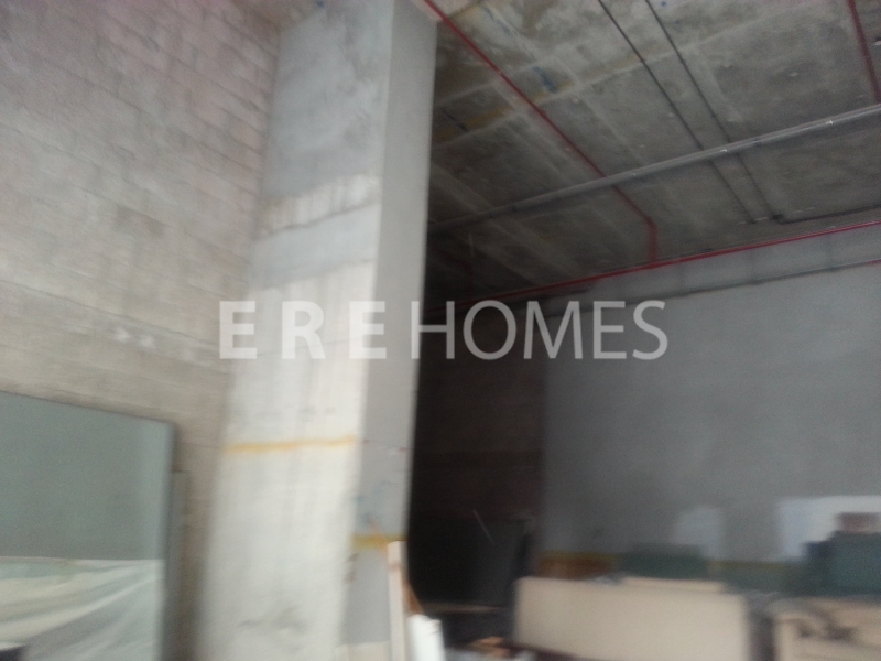  Will Sell Fast, Renovated And Upgraded Type Cm. 3 Bedrooms Plus Study And Maids Er S 5643