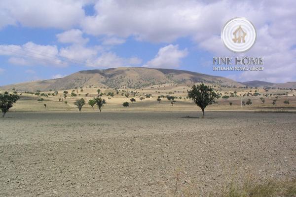 Residential Land In Khalifa City (L_1297)