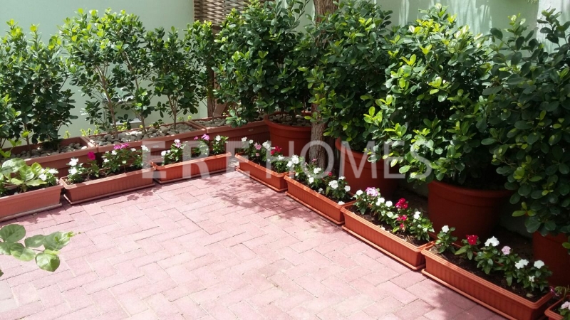 Spacious Individual Villa, 7 Beds, 7 Baths, Private Pool, Landscaped Garden Er S 5420