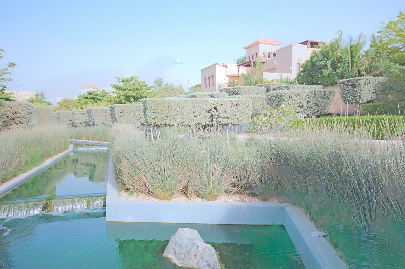 Hot Deal Vacant Acacia Type Barari Villa 
